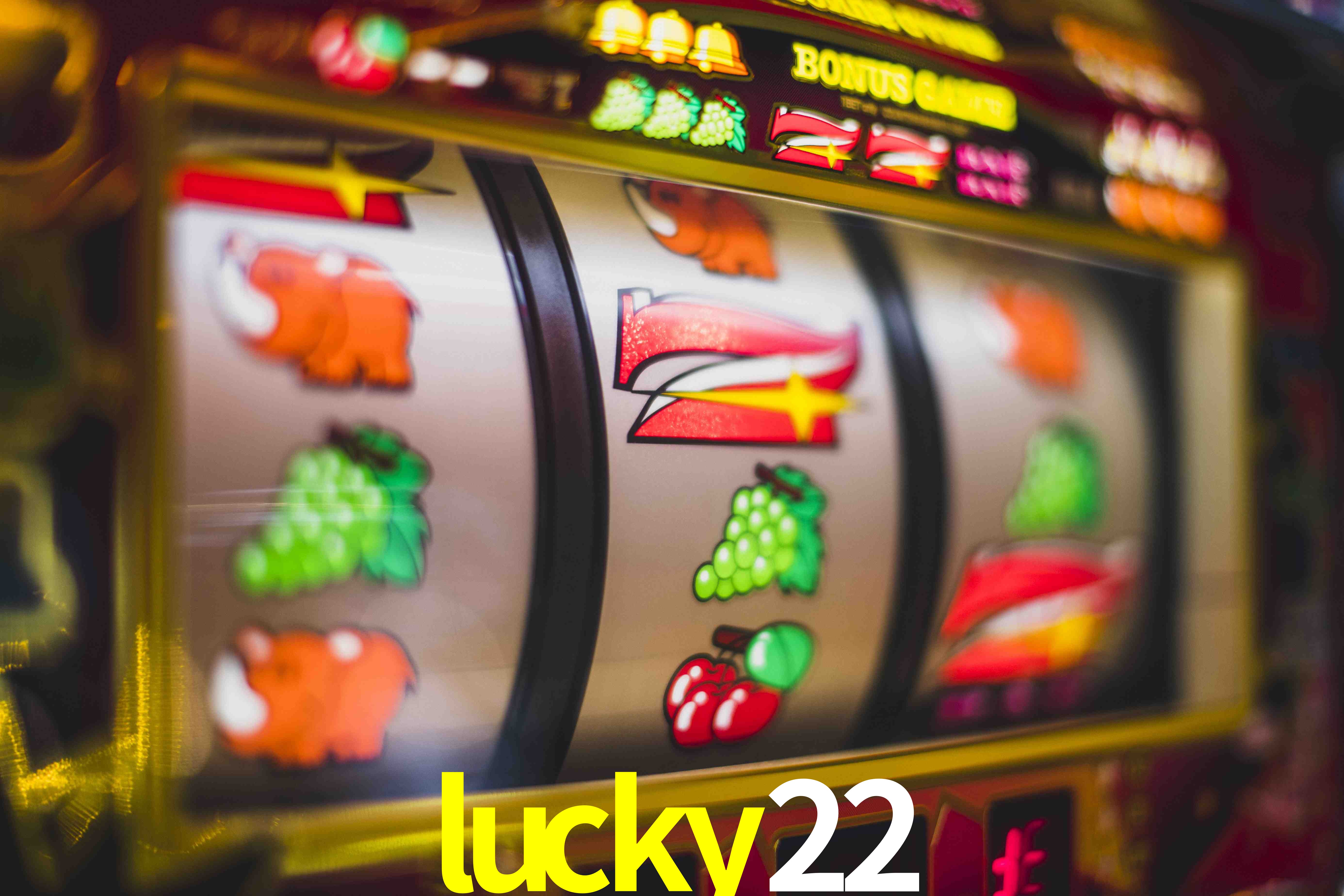 Sports Statistics lucky22